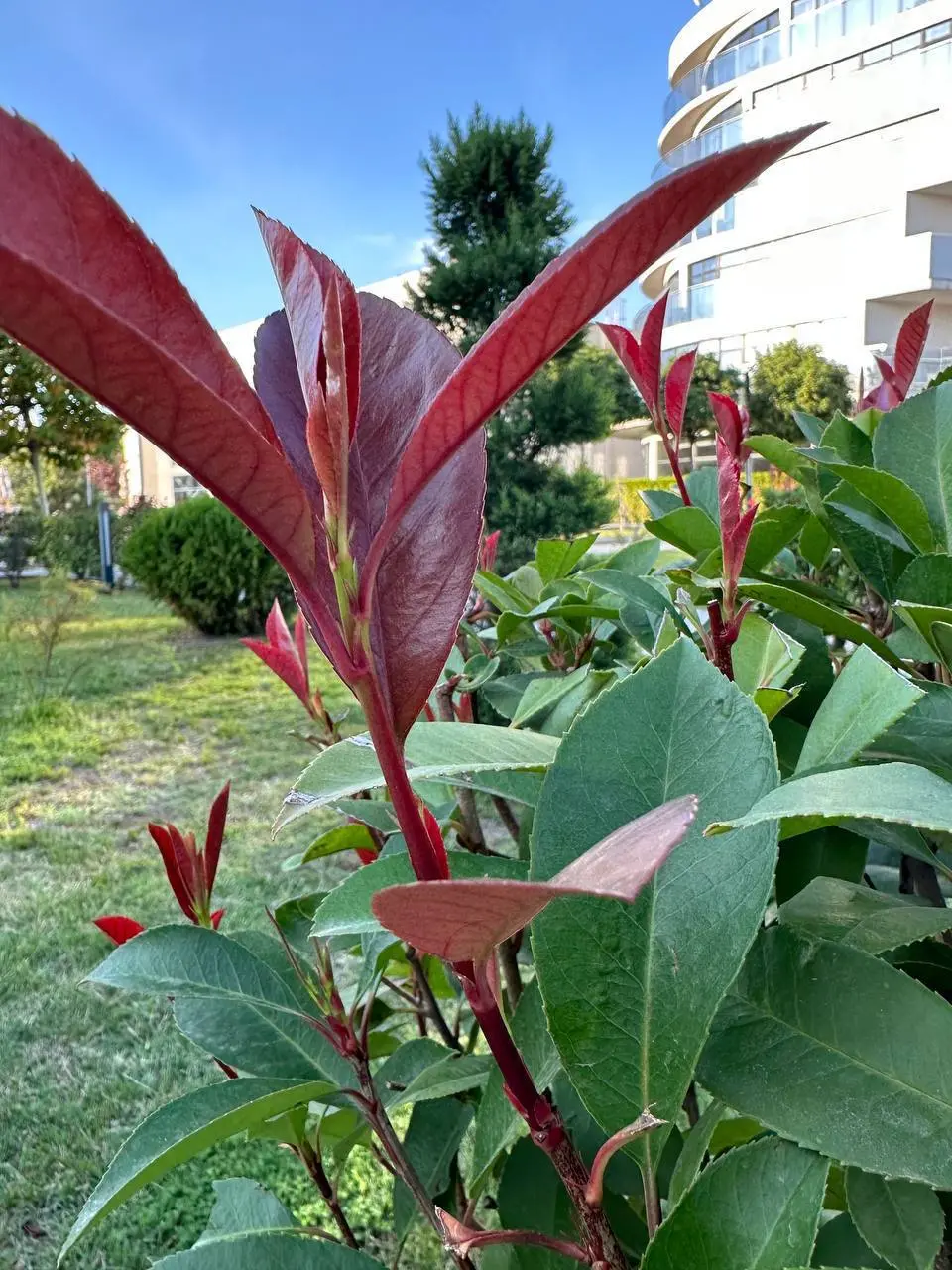 ЛОВИ МОМЕНТ