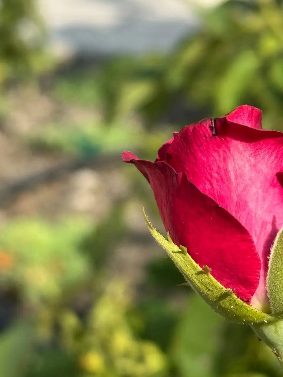 ЛОВИ МОМЕНТ