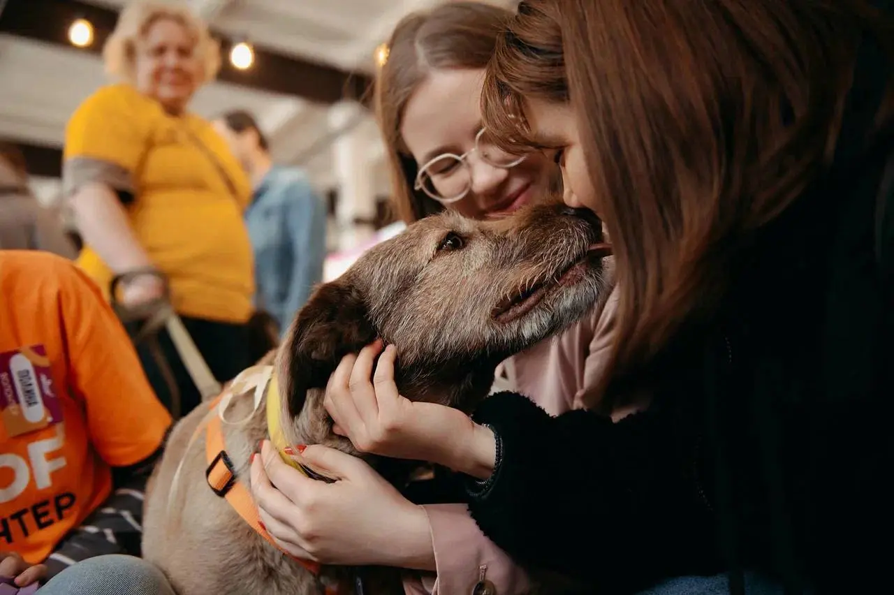 WOOF FEST В КРАСНОДАРЕ