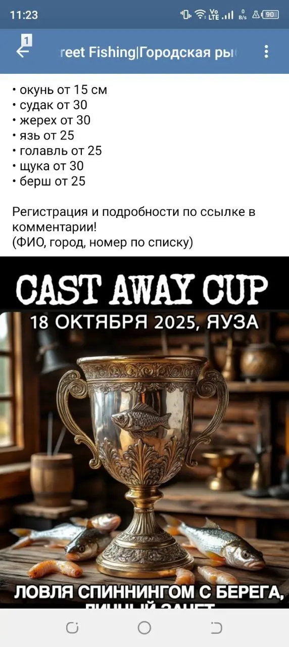 Городская рыбалка