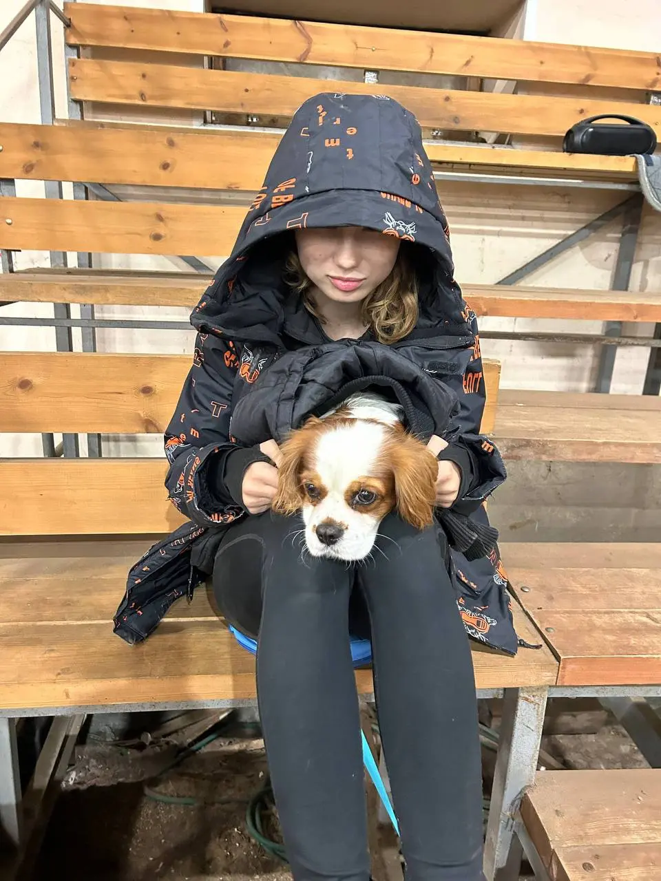 Дог Фризби: Осенние страшилки 2025