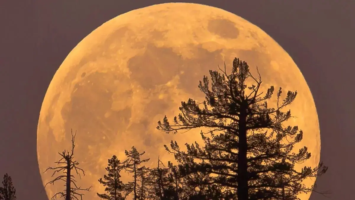 небo станет особенным — луна над горизонтом