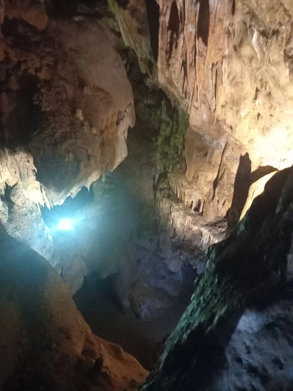 Расписание экскурсий и туров по Сербии