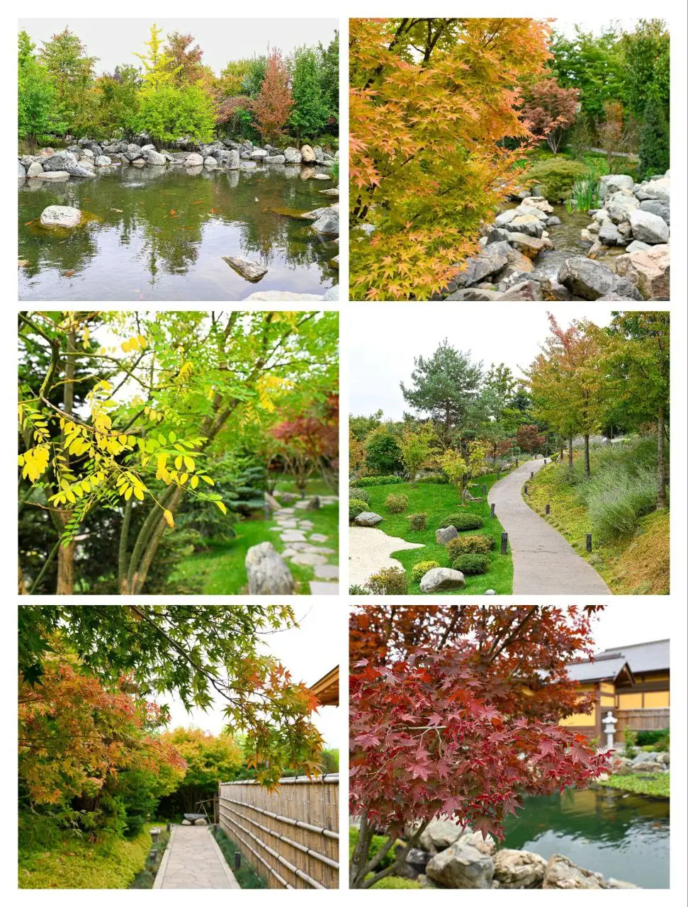 Краски осеннего Японского сада