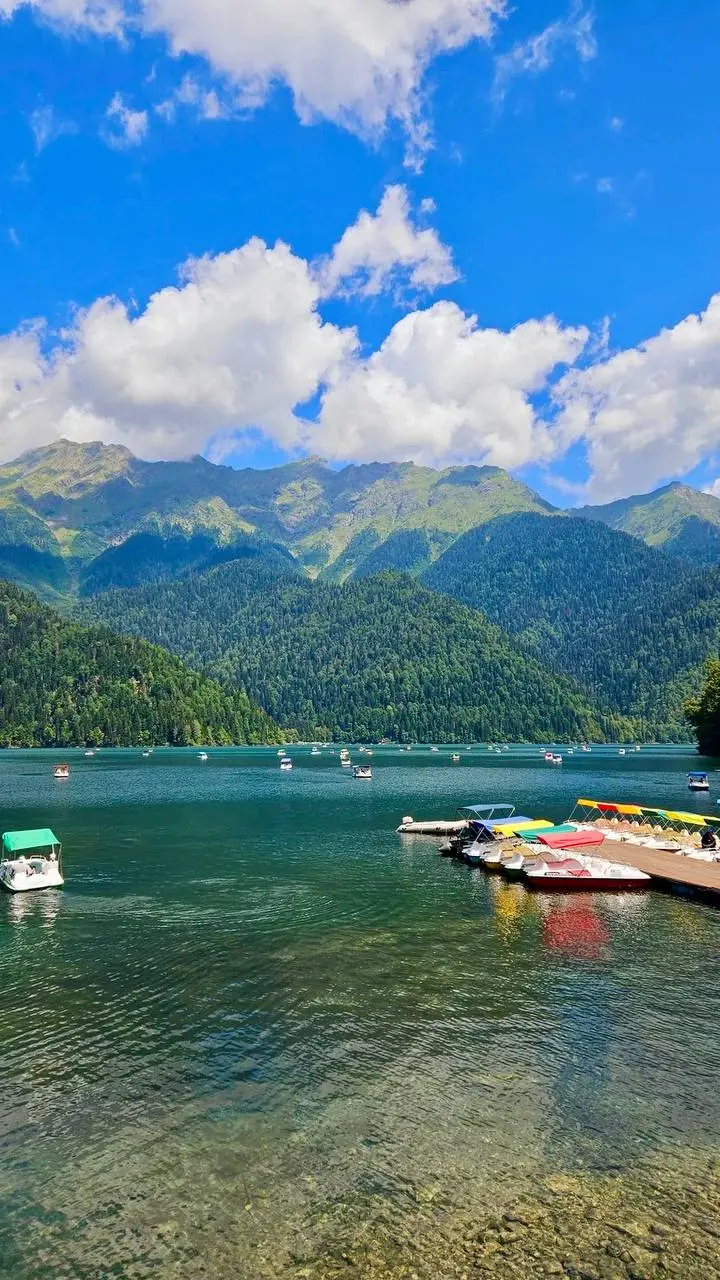 Авторская джип-поездка из Сочи с местным гидом; Абхазия с открыткИ; Экспедиция к Черноморским дельфинам