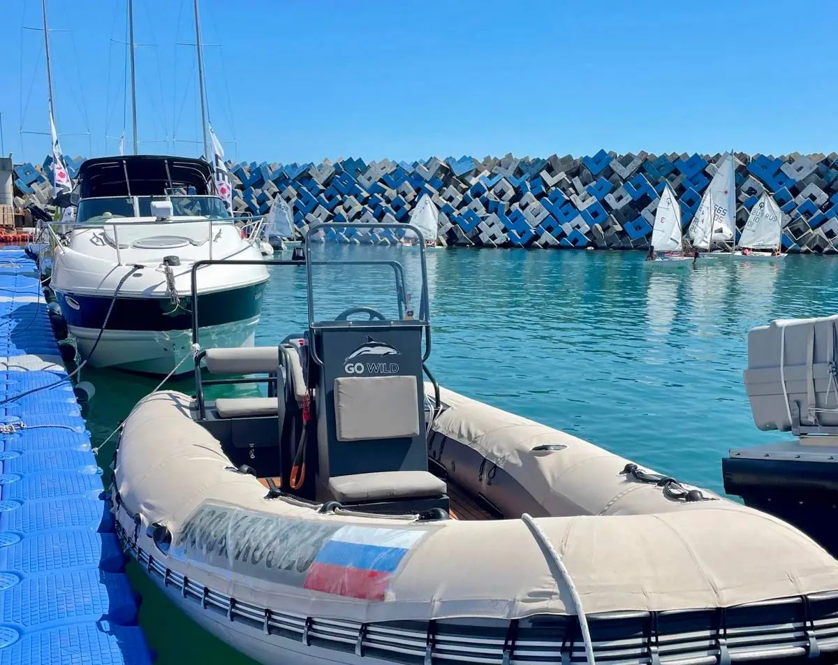 Авторская джип-поездка из Сочи с местным гидом; Абхазия с открыткИ; Экспедиция к Черноморским дельфинам