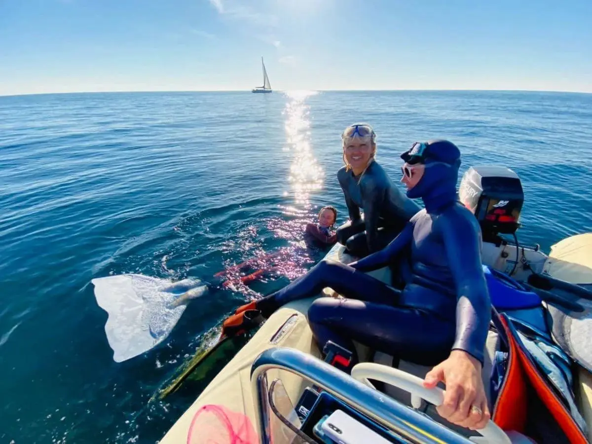 Авторская джип-поездка из Сочи с местным гидом; Абхазия с открыткИ; Экспедиция к Черноморским дельфинам