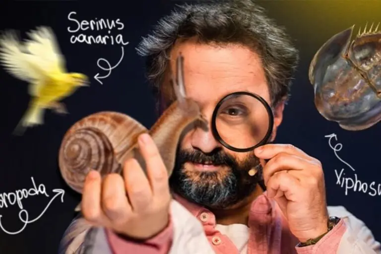 Илья Колмановский в Германии — лекции и научное шоу