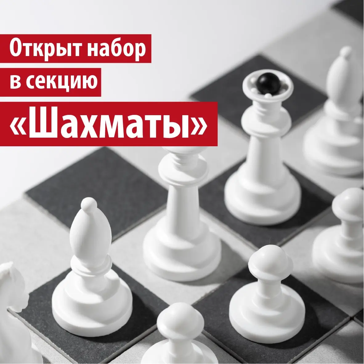 ДЮСШ «Московские Жирафы» объявляет набор в спортивное отделение «Шахматы» | Приглашаем студентов дошкольного отделения, 1-11 классов!