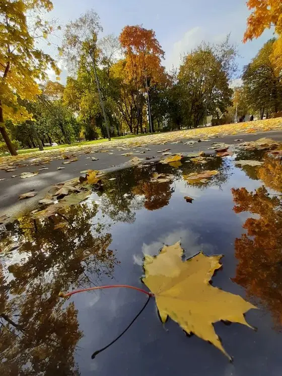 День отражения в Лужах: конкурс и билет на спектакль