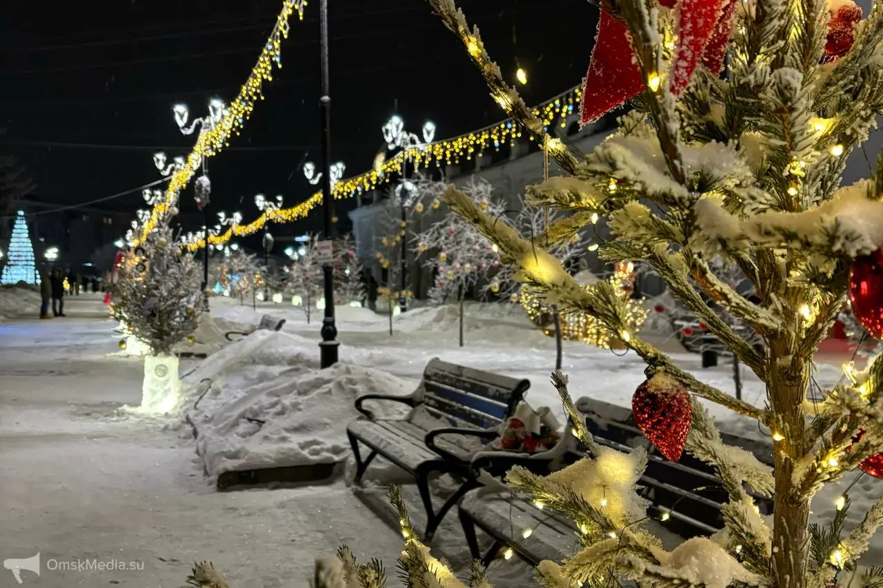 Новый год в Омске: организация зимних праздников