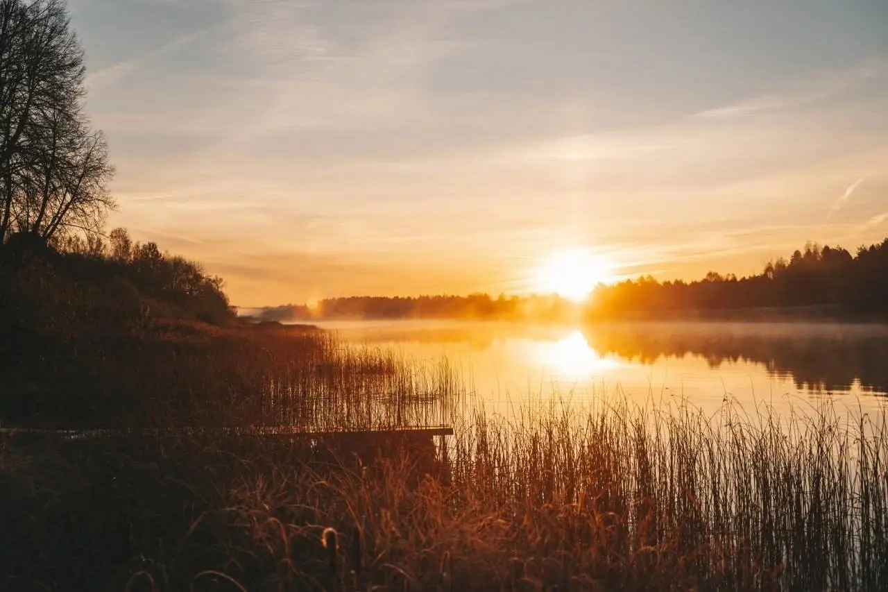 Осенний уикенд в Тверской области: семейное приключение (медведица Шанти)