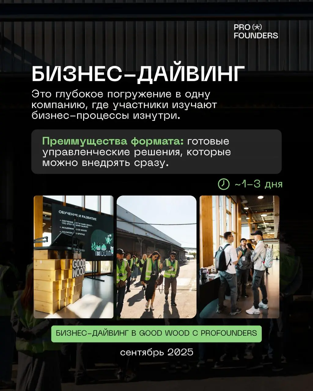 PROFOUNDERS: различия форматов — бизнес-миссия, тур и дайвинг