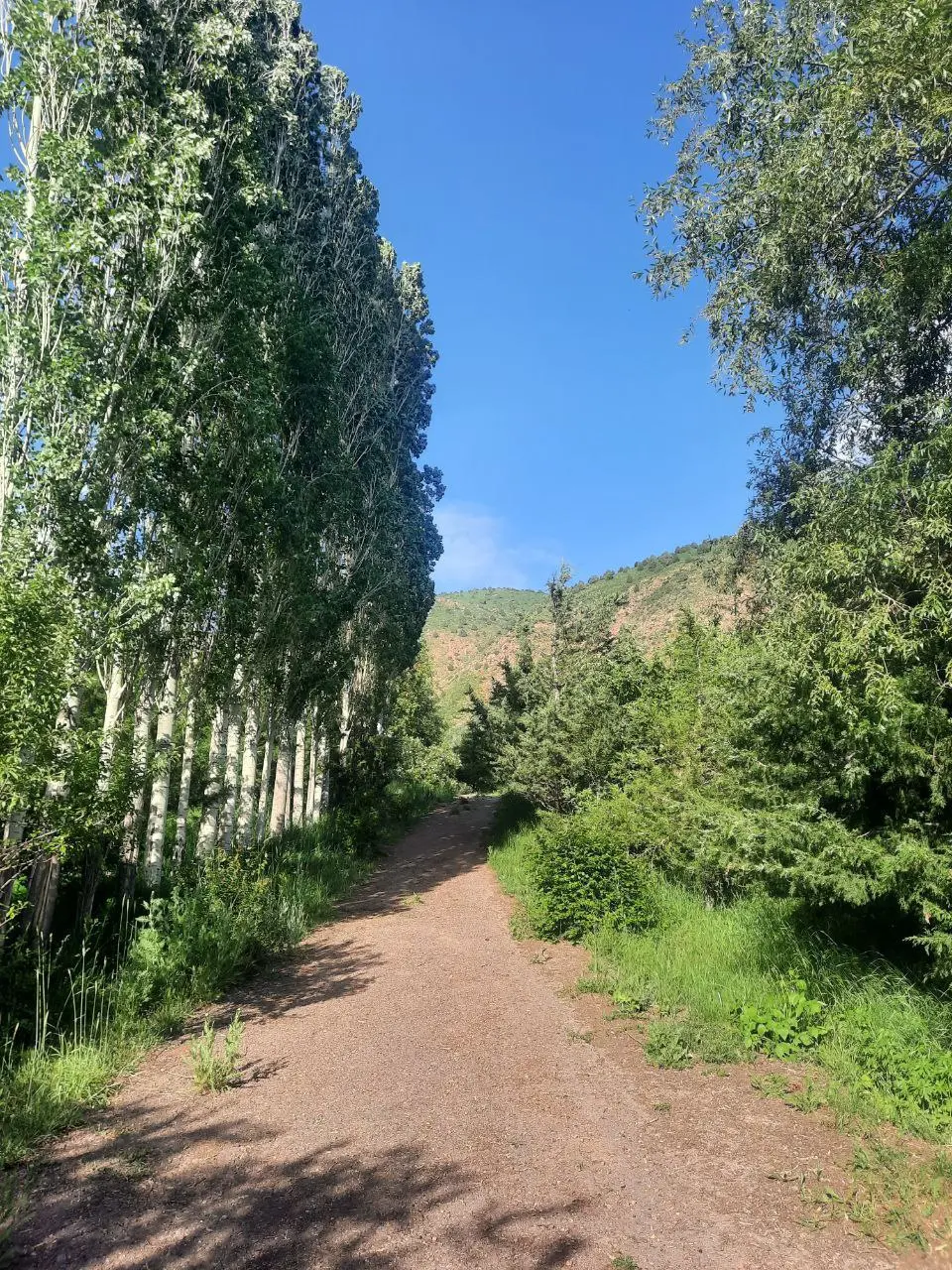 тур выходного дня в Ангрене