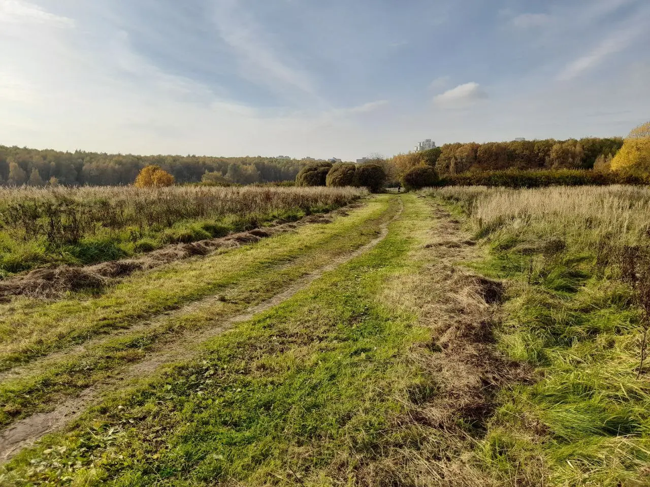 Битцевский лес и район «Северное Чертаново». Краски осени