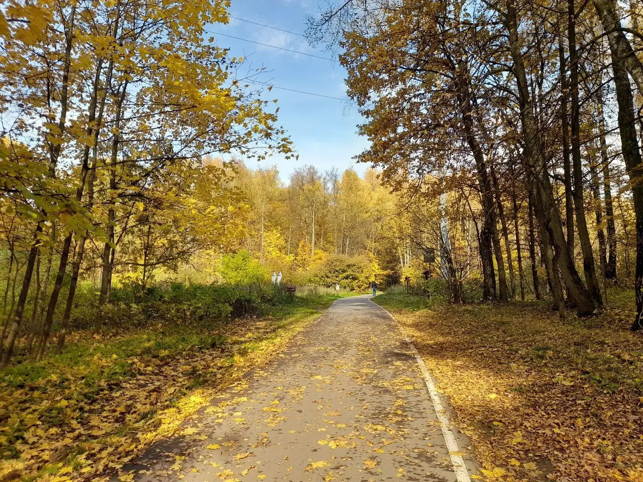 Битцевский лес и район «Северное Чертаново». Краски осени