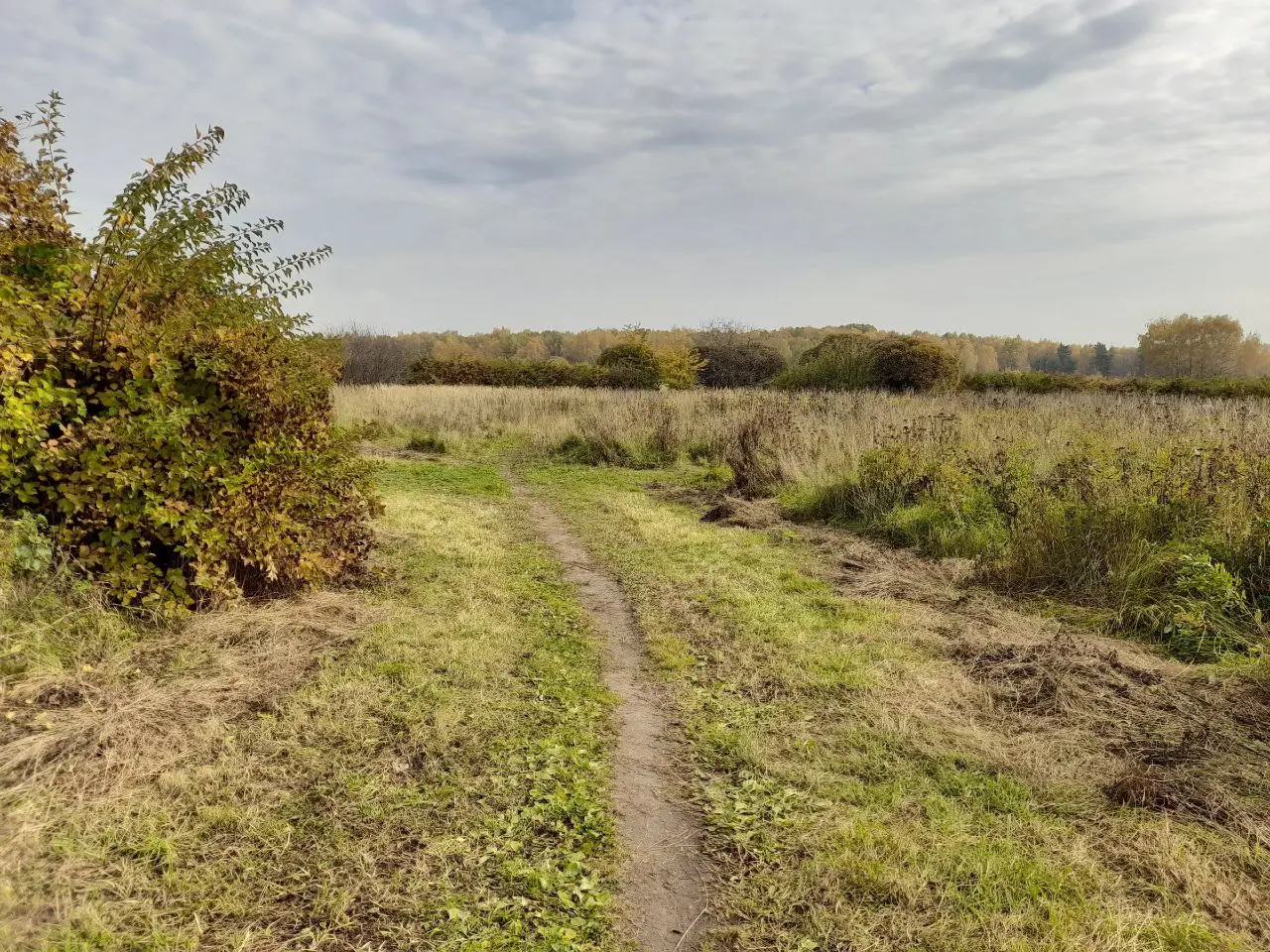 Битцевский лес и район «Северное Чертаново». Краски осени