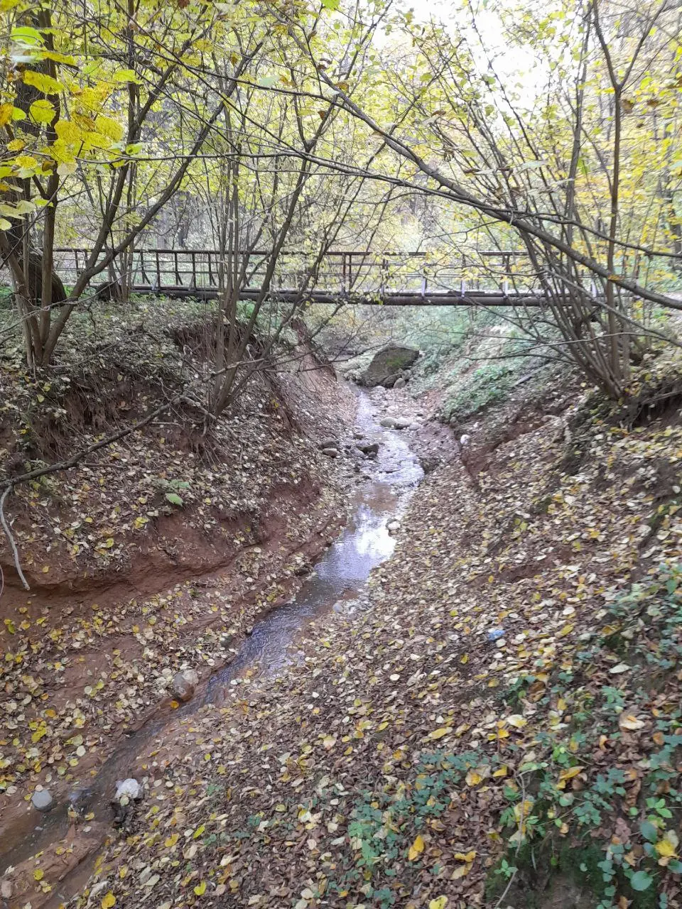 Битцевский лес и район «Северное Чертаново». Краски осени