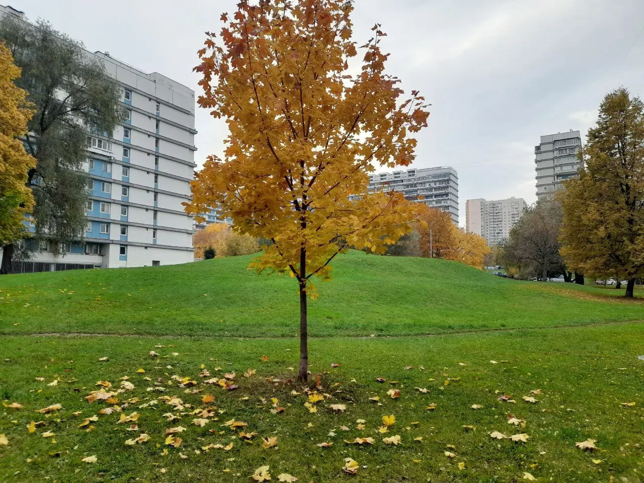 Битцевский лес и район «Северное Чертаново». Краски осени