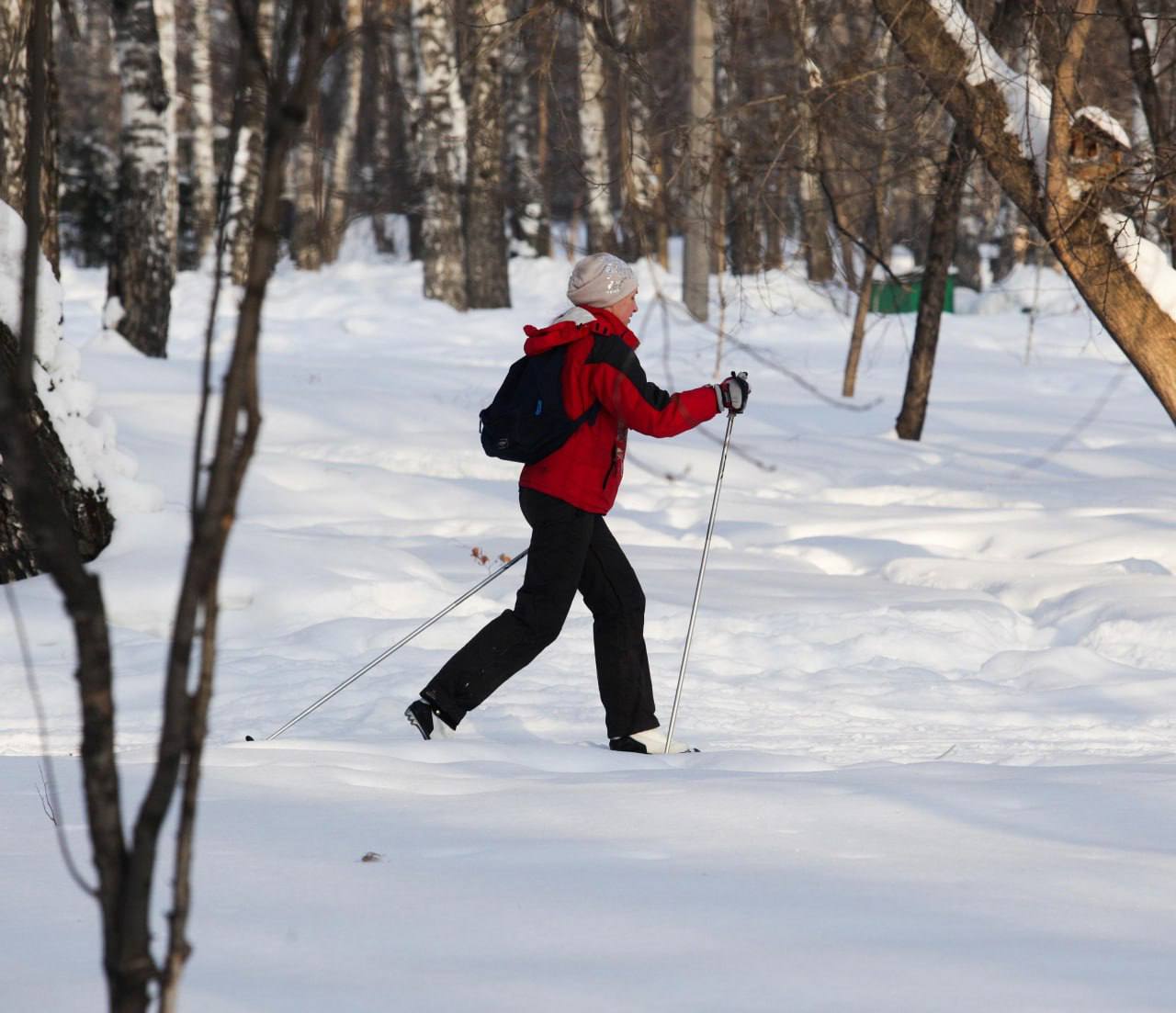 Лыжная трасса в парке «Бугринская роща»