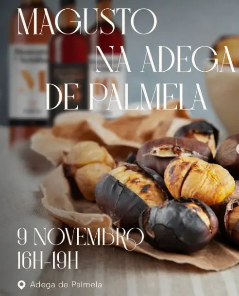 MAGUSTO В ВИННОМ ПОГРЕБЕ ПАЛМЕЛЫ