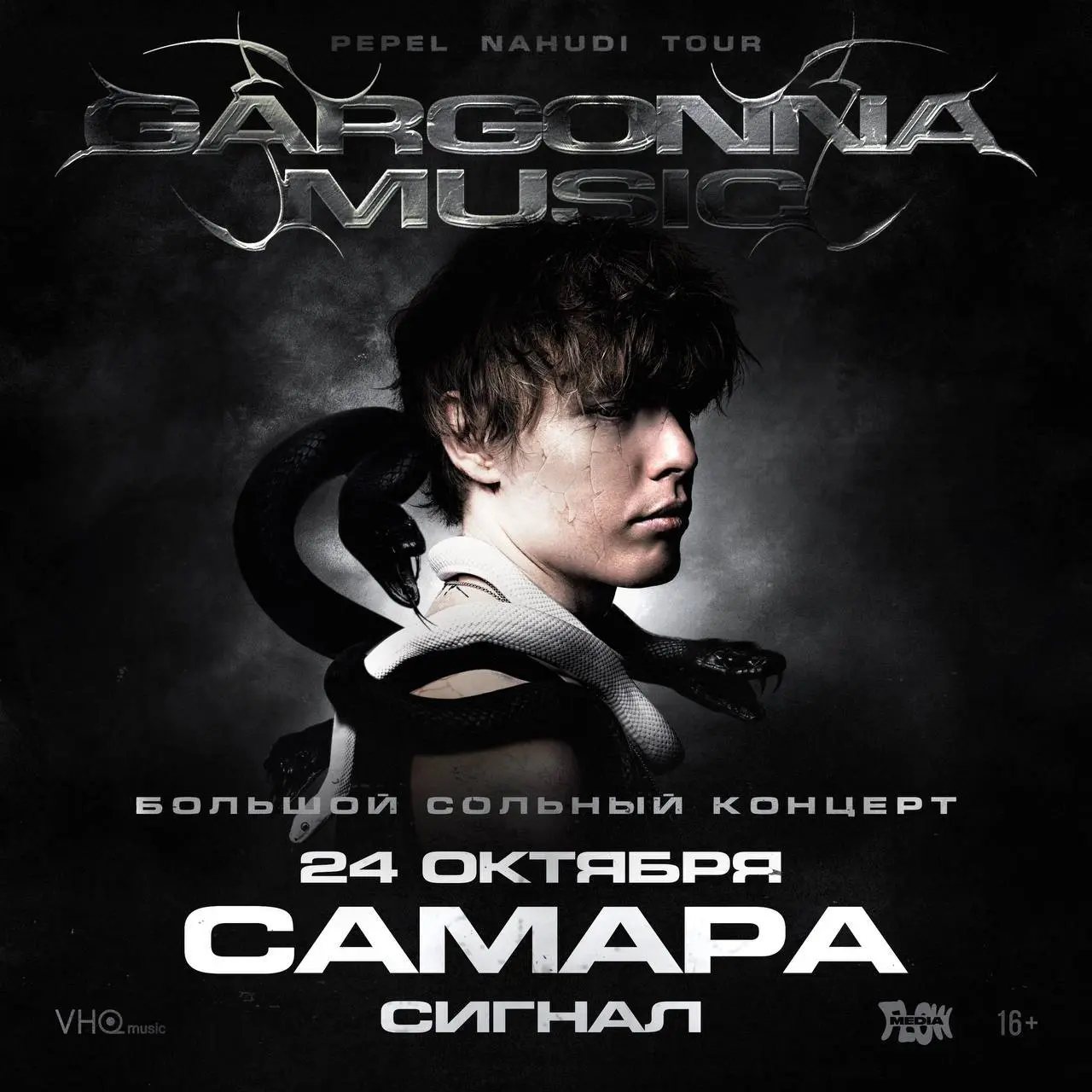 Большой сольный концерт