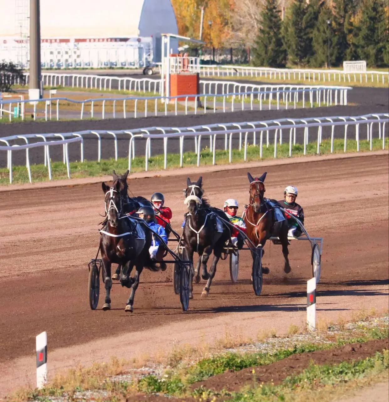 день испытаний верховых и росистых пород лошадей