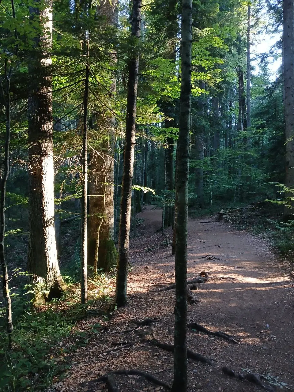 Друзья, доброго вечера и отличных выходных! Запись у @Tatasfb71