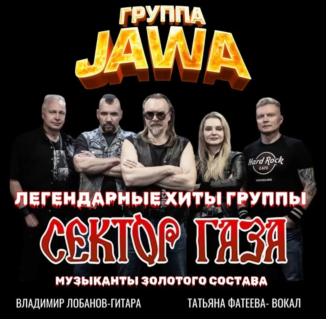 Легендарные хиты группы СЕКТОР ГАЗА на сцене ДК БМЗ