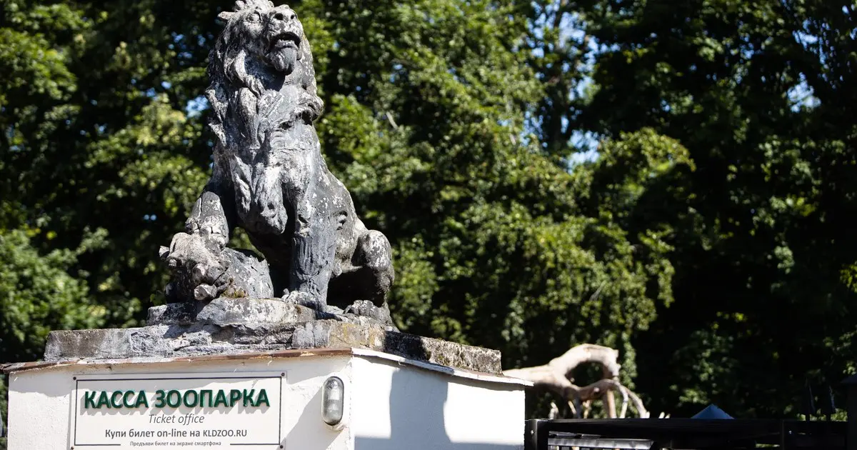 День рождения Преголи и историческая экскурсия «Следы времени»