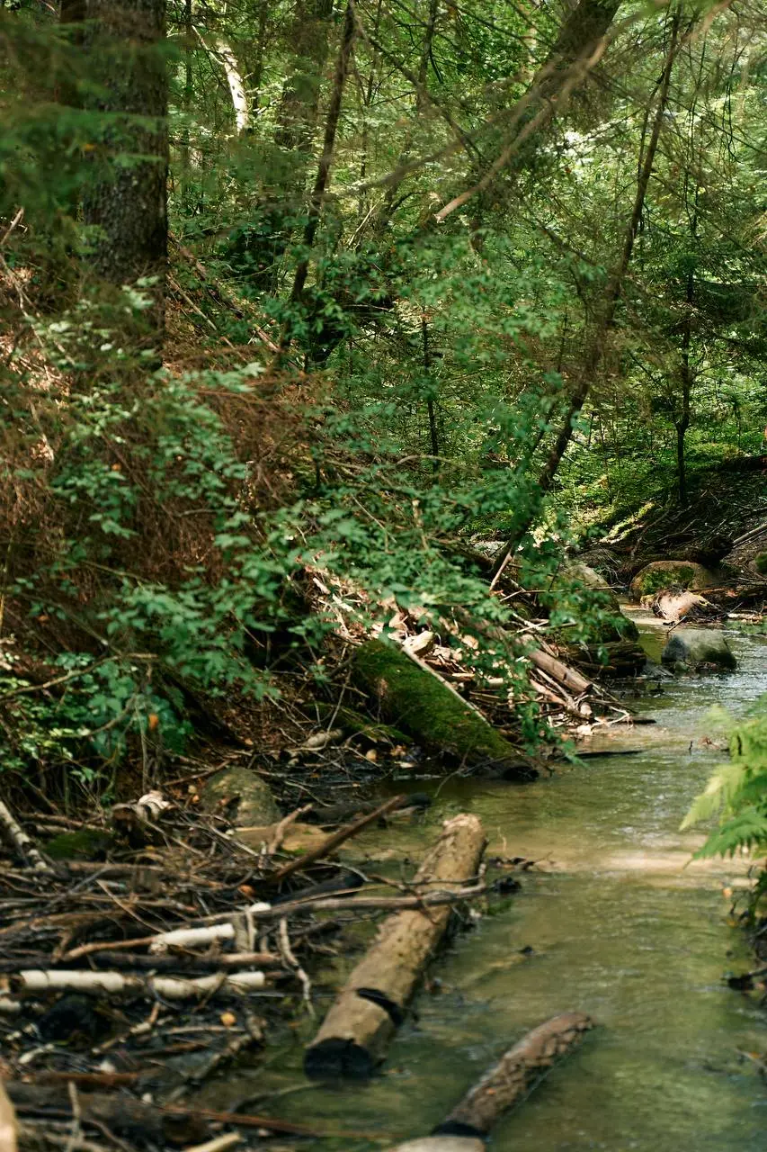 Осенний поход по заказнику Голубые озера