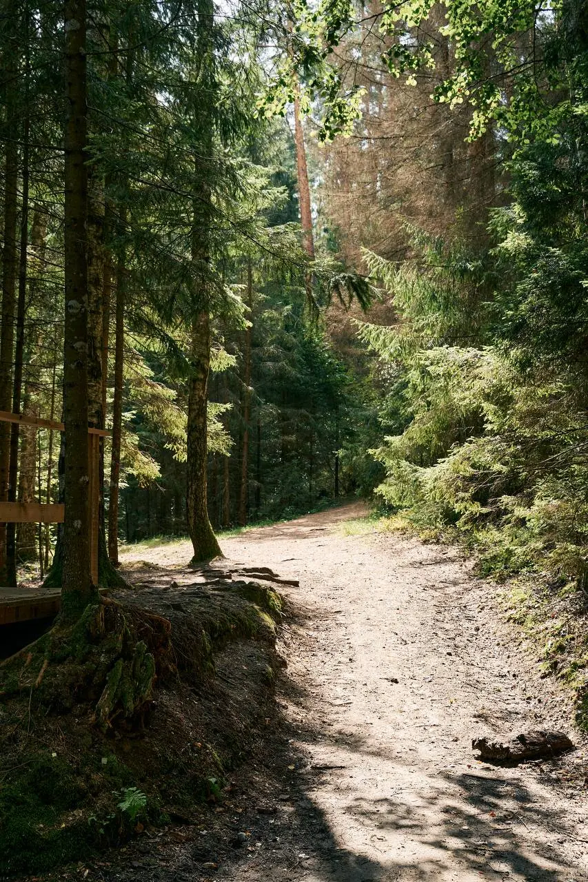 Осенний поход по заказнику Голубые озера