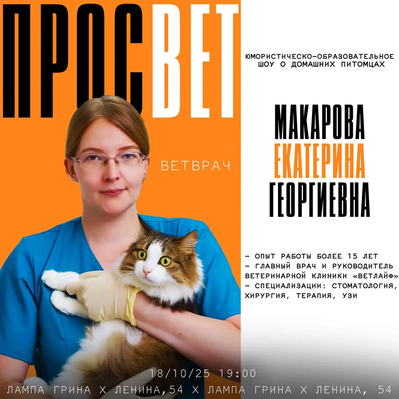 ПросВЕТ — образовательно-юмористическое шоу