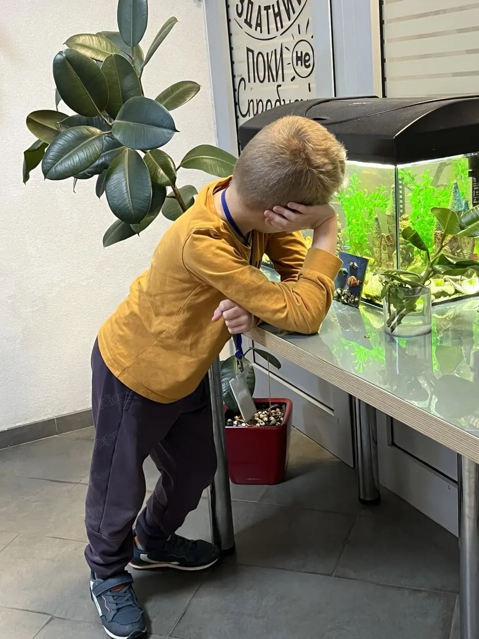 Юный исследователь: расписание занятий в Центре дополнительного образования