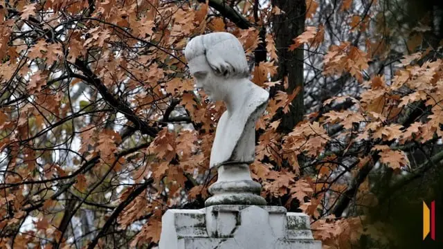 прочтение стихотворений воронежских поэтов