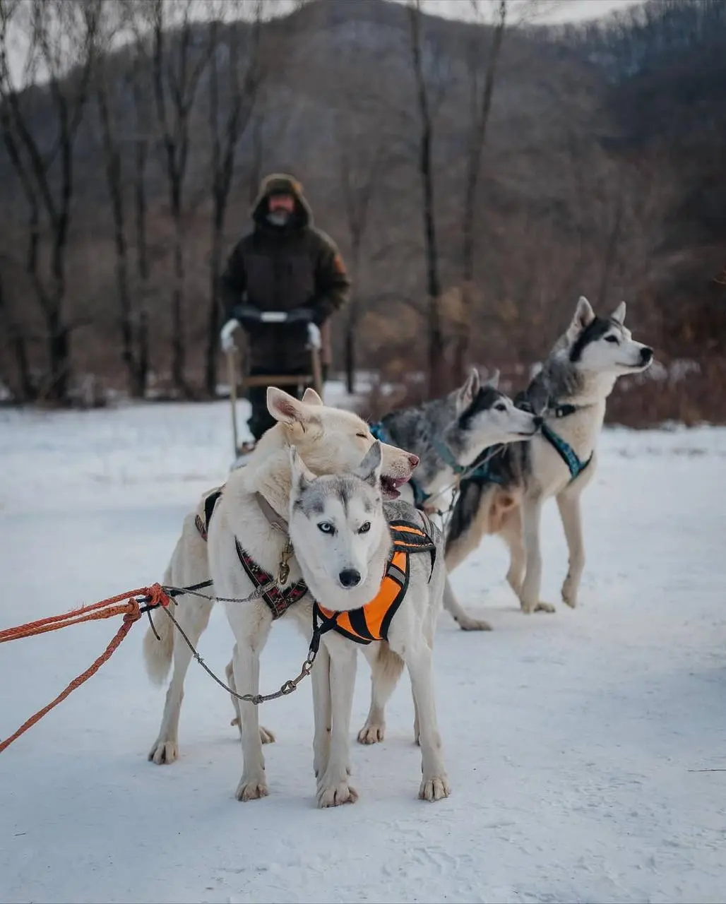 Новый год с Летотур в уютном доме с камином посреди тайги