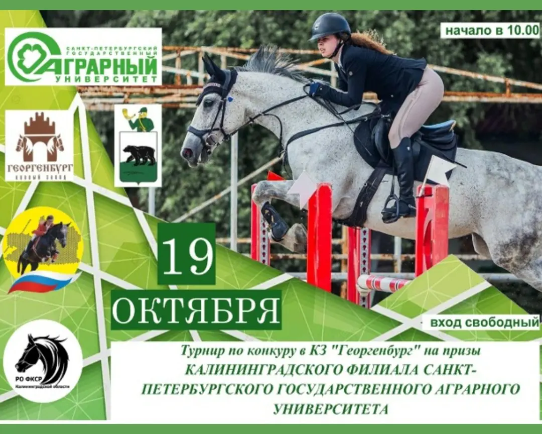 Конкура Турнир