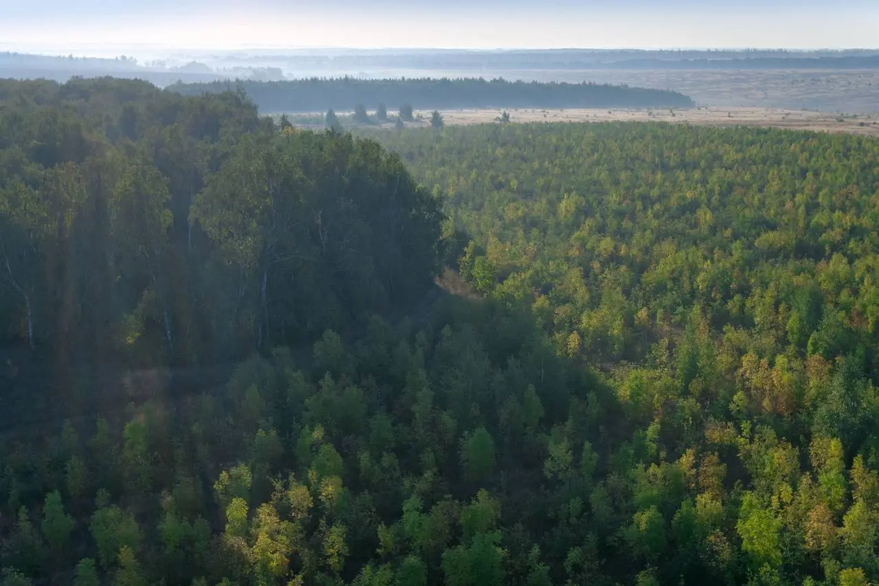 Зеленая Дубрава