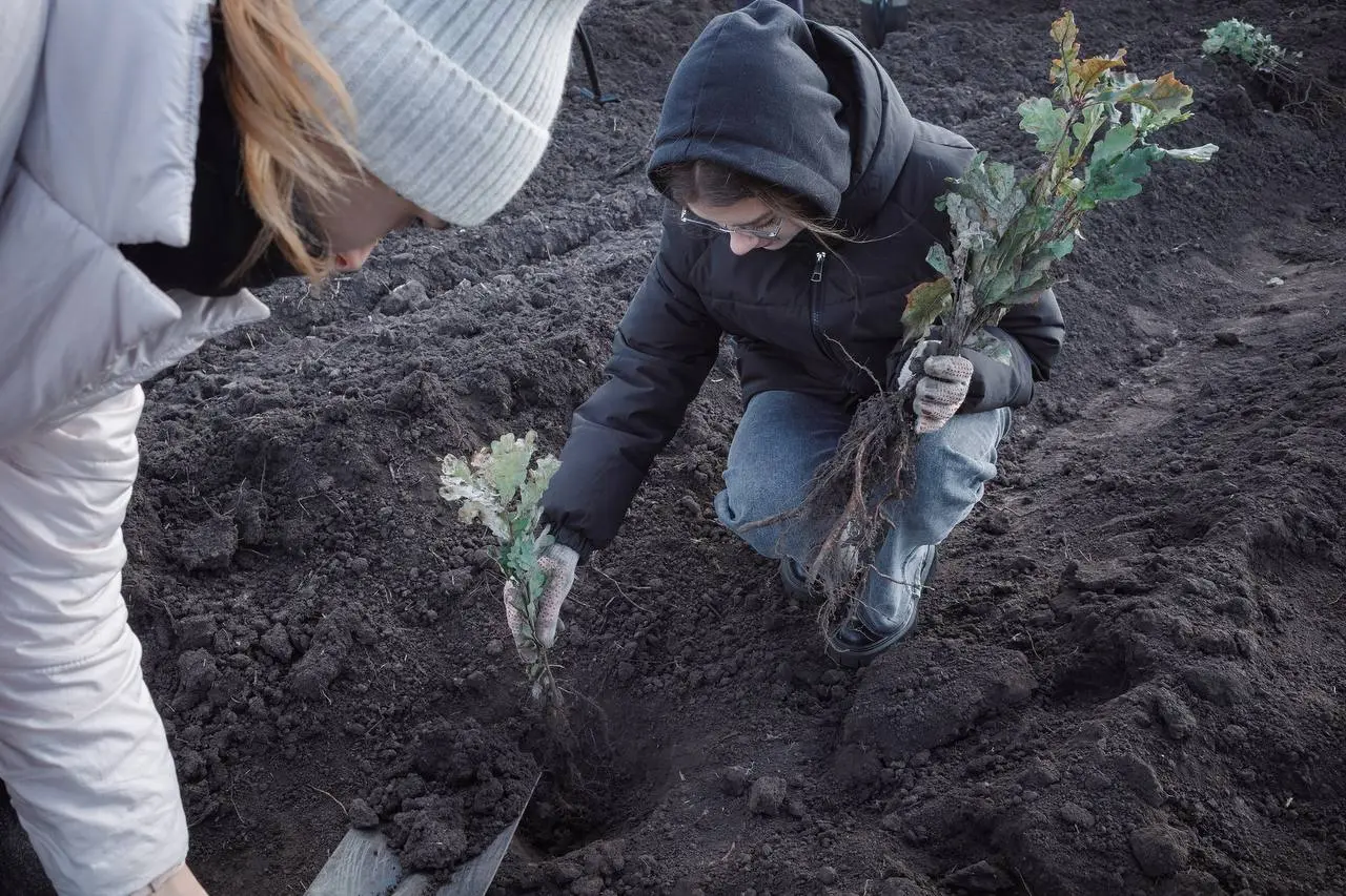 Зеленая Дубрава