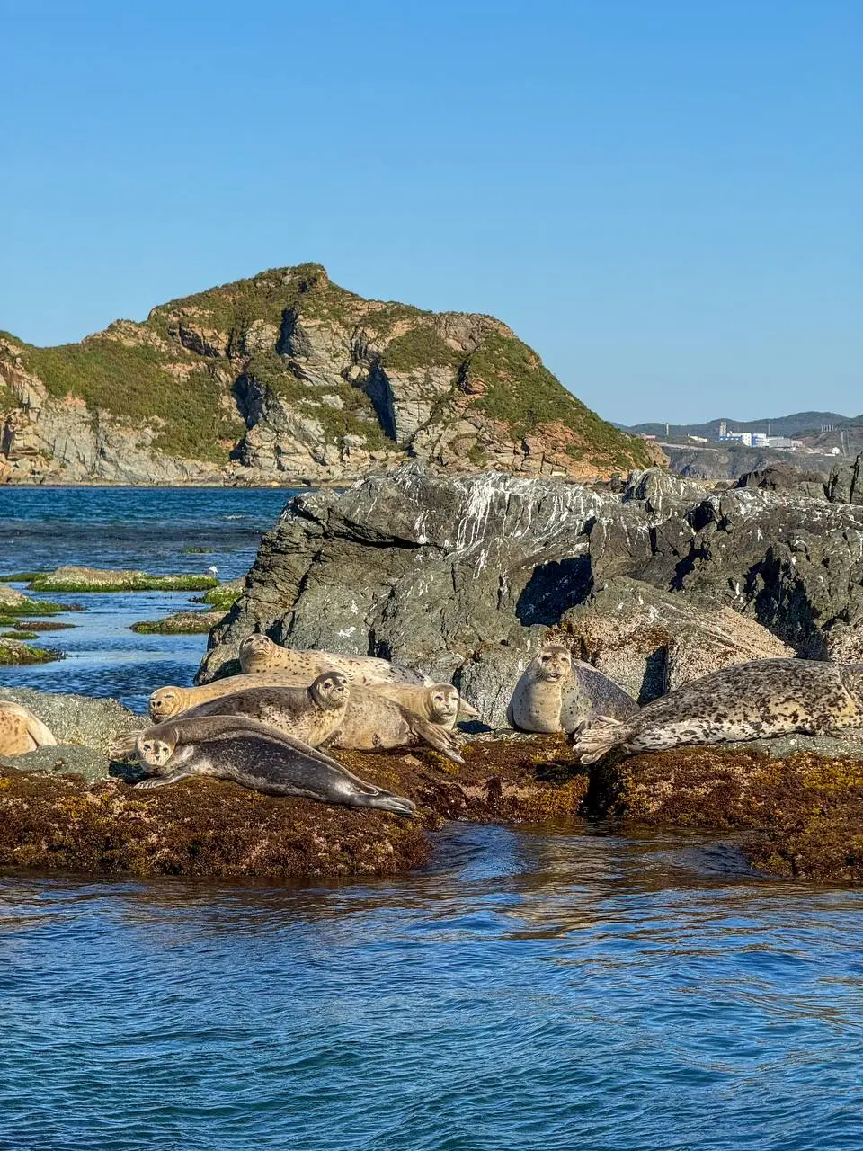 Фотосет о том, как ощущается октябрь на острове Аскольд
