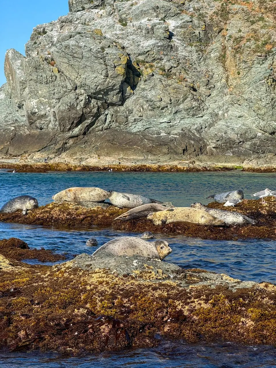 Фотосет о том, как ощущается октябрь на острове Аскольд