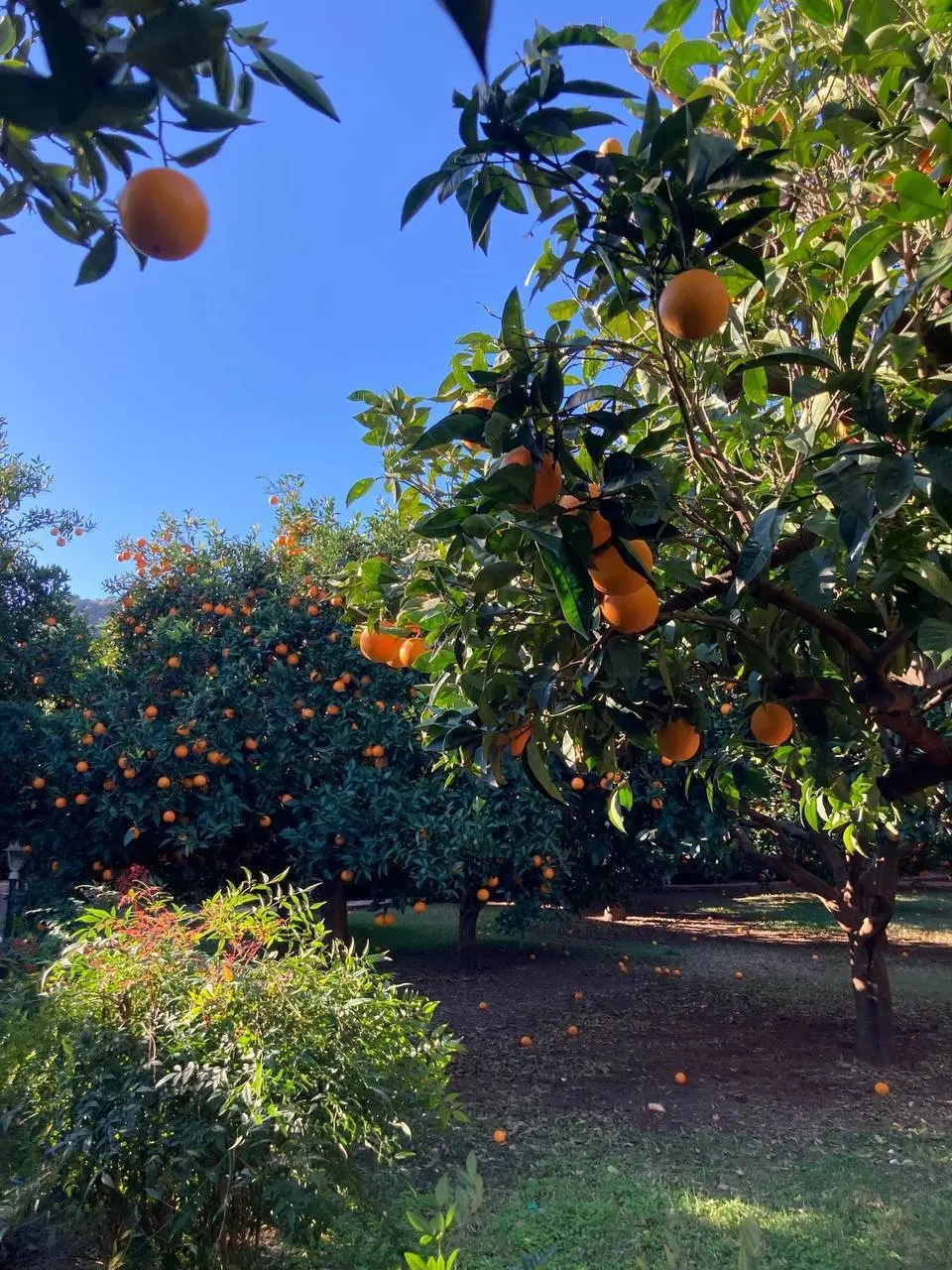 Новогодние смены