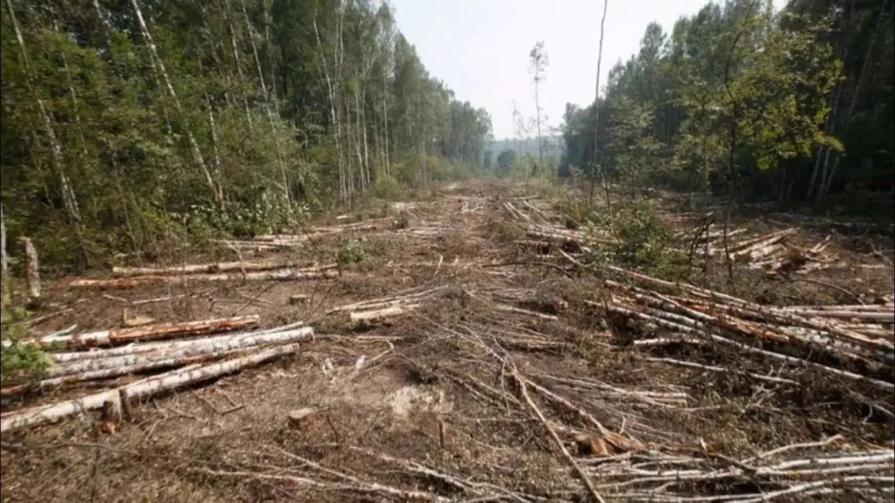 Не указано конкретное название мероприятия