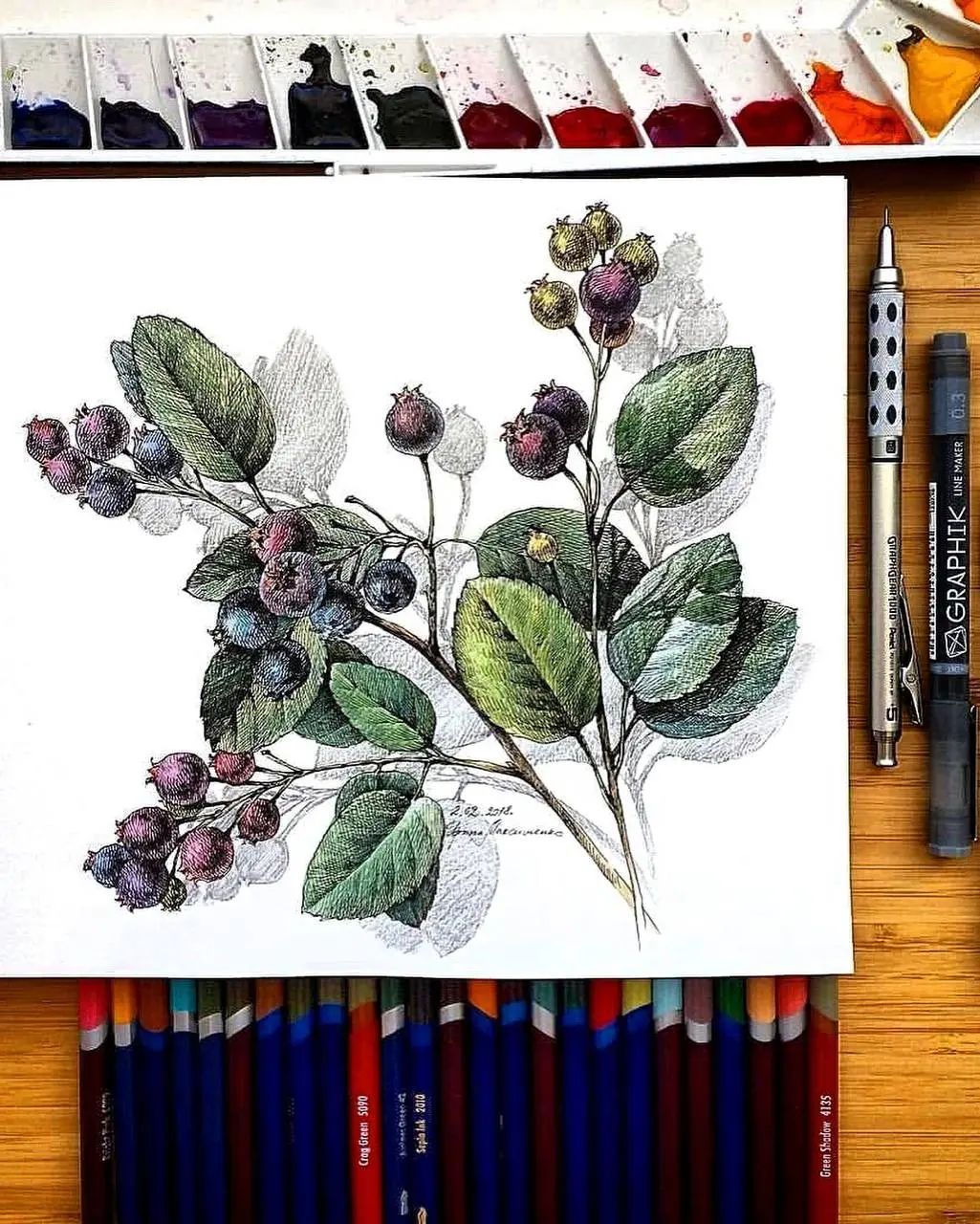 Курс «Ботаника» — новая дата запуска