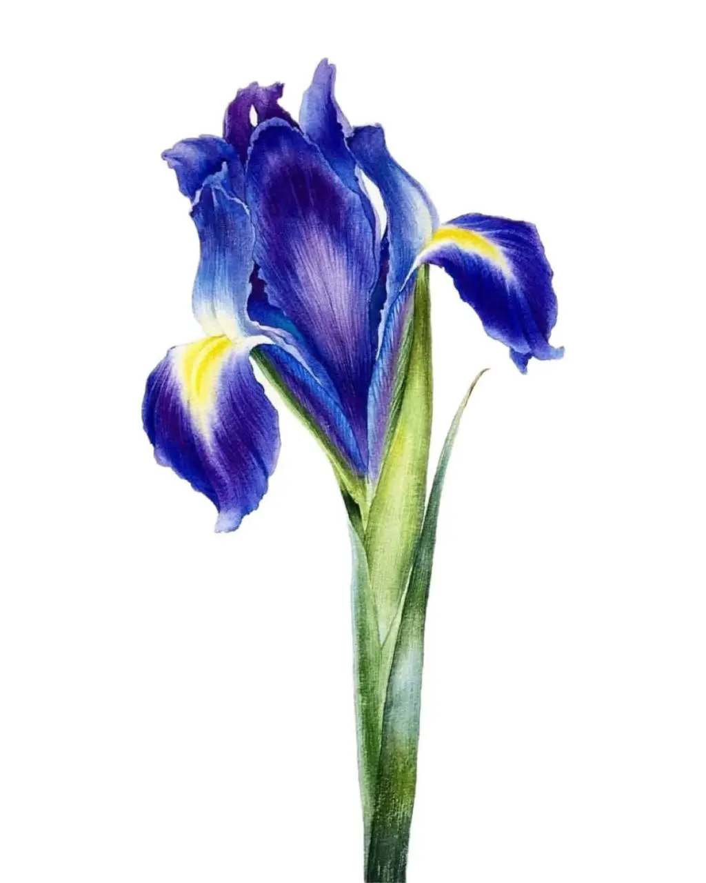 Курс «Ботаника» — новая дата запуска