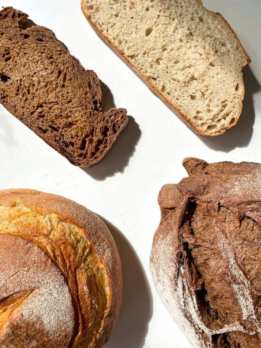 Основы хлебопечения