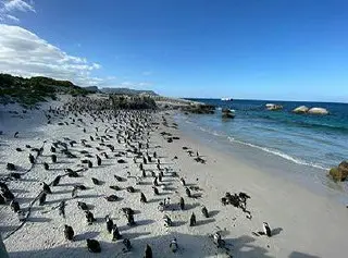 НОВЫЙ ГОД В АФРИКЕ: Зимбабве - Замбия - Ботсвана - ЮАР