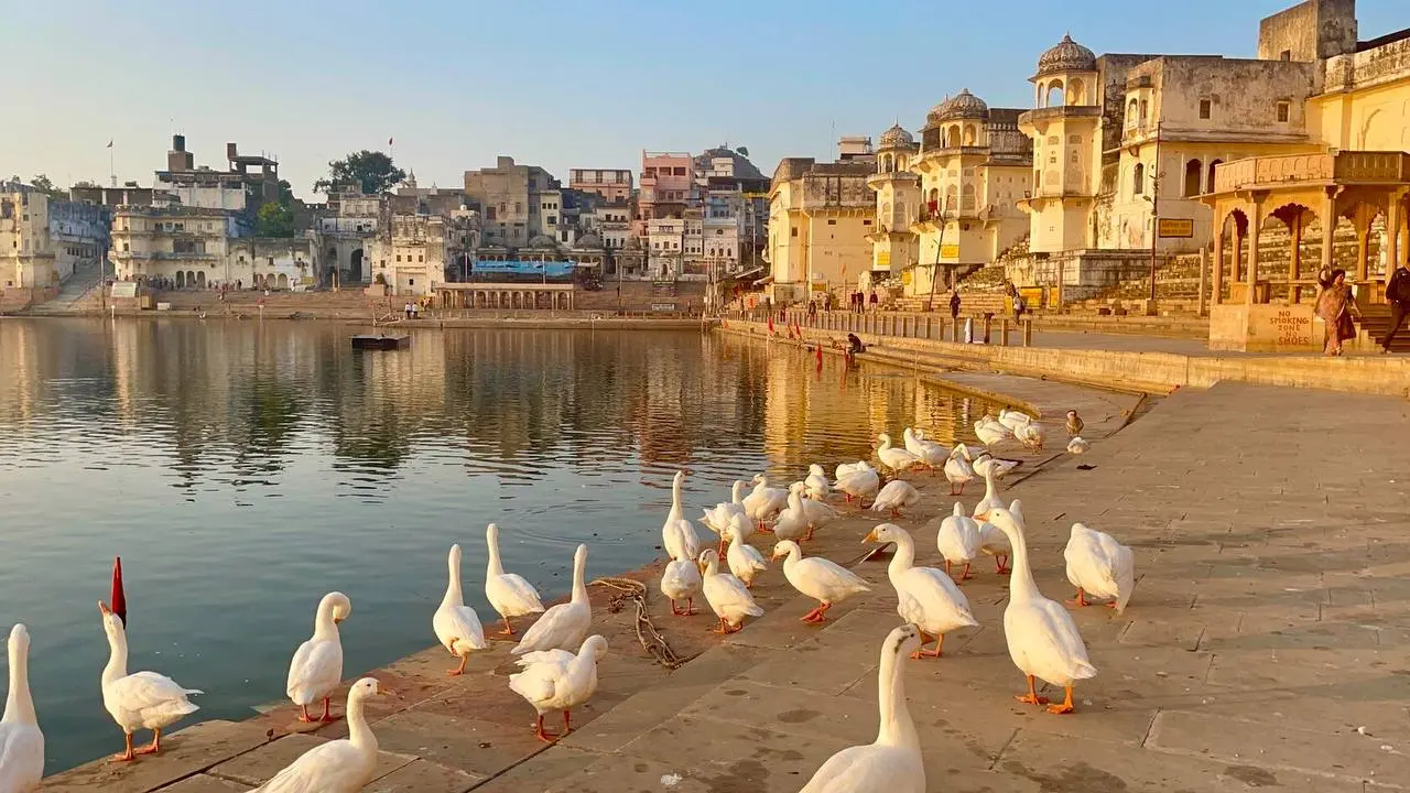 Индивидуальное паломничество в Пушкар (6–17 ноября, группа до 4 человек)