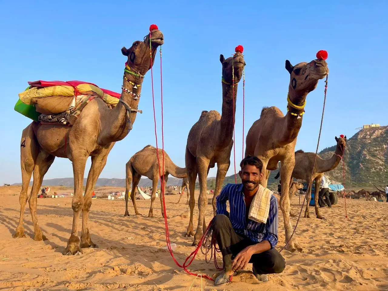 Индивидуальное паломничество в Пушкар (6–17 ноября, группа до 4 человек)
