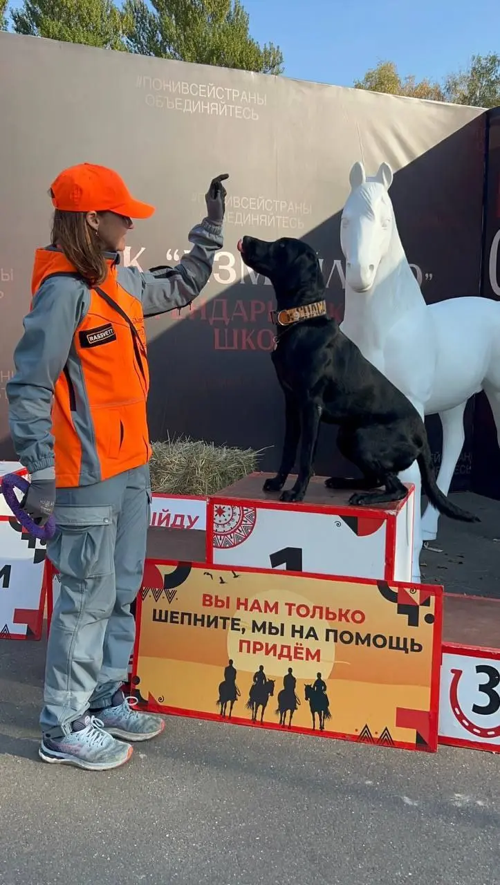 Проверь описание мероприятия